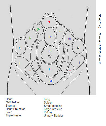 Chart of hara reflex areas